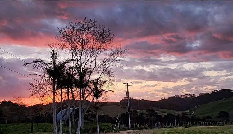 1093 Run Road Wellsford_42