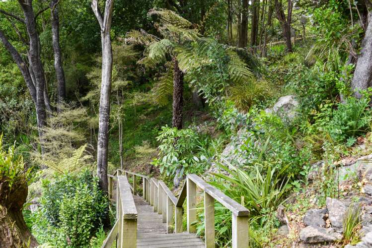 24 Braeview Crescent Maori Hill_3