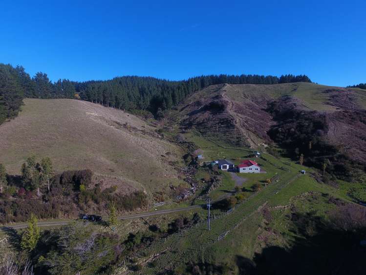 579 Jacksons Line Mauriceville_17