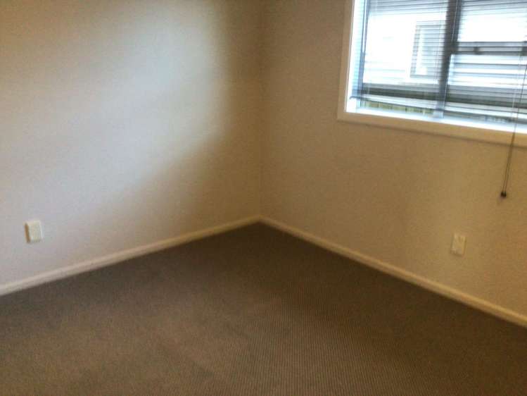 2 Saxton Road Upper Vogeltown_7