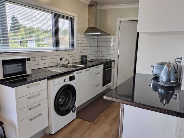 62 Bushyhill Street Tapanui_3