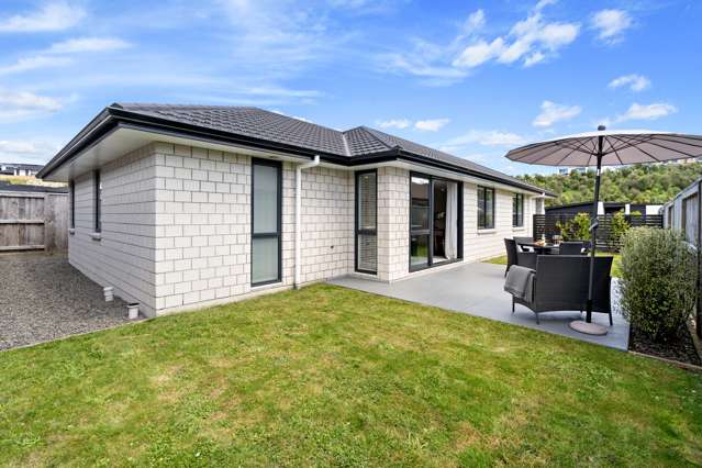 110 Whakaturou Crescent Pyes Pa_1