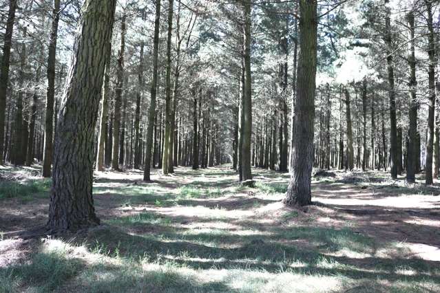 Headworks Road Rakaia_2