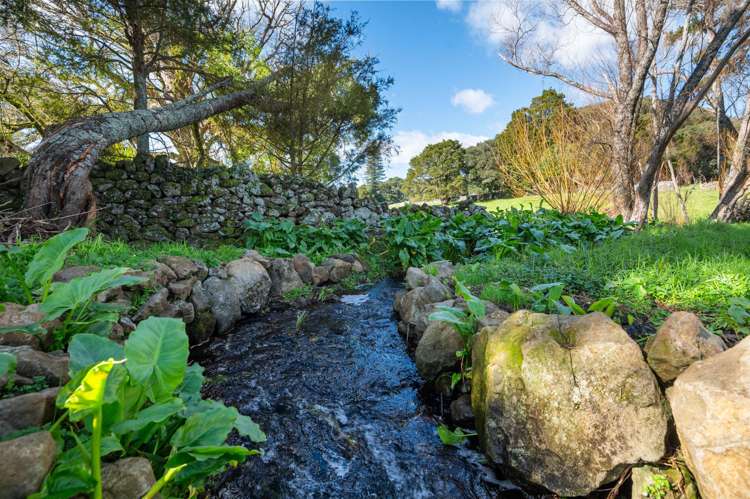 638 Ngunguru Road Glenbervie_20