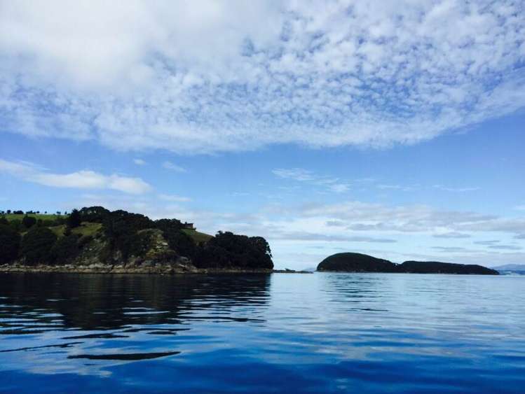 190 Pacific Ocean, Slipper Island (Whakahua) Thames_6