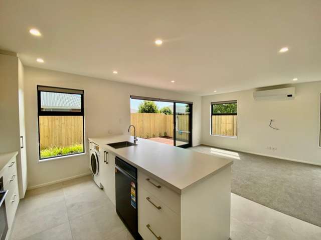 25 Therese Street Spreydon_2