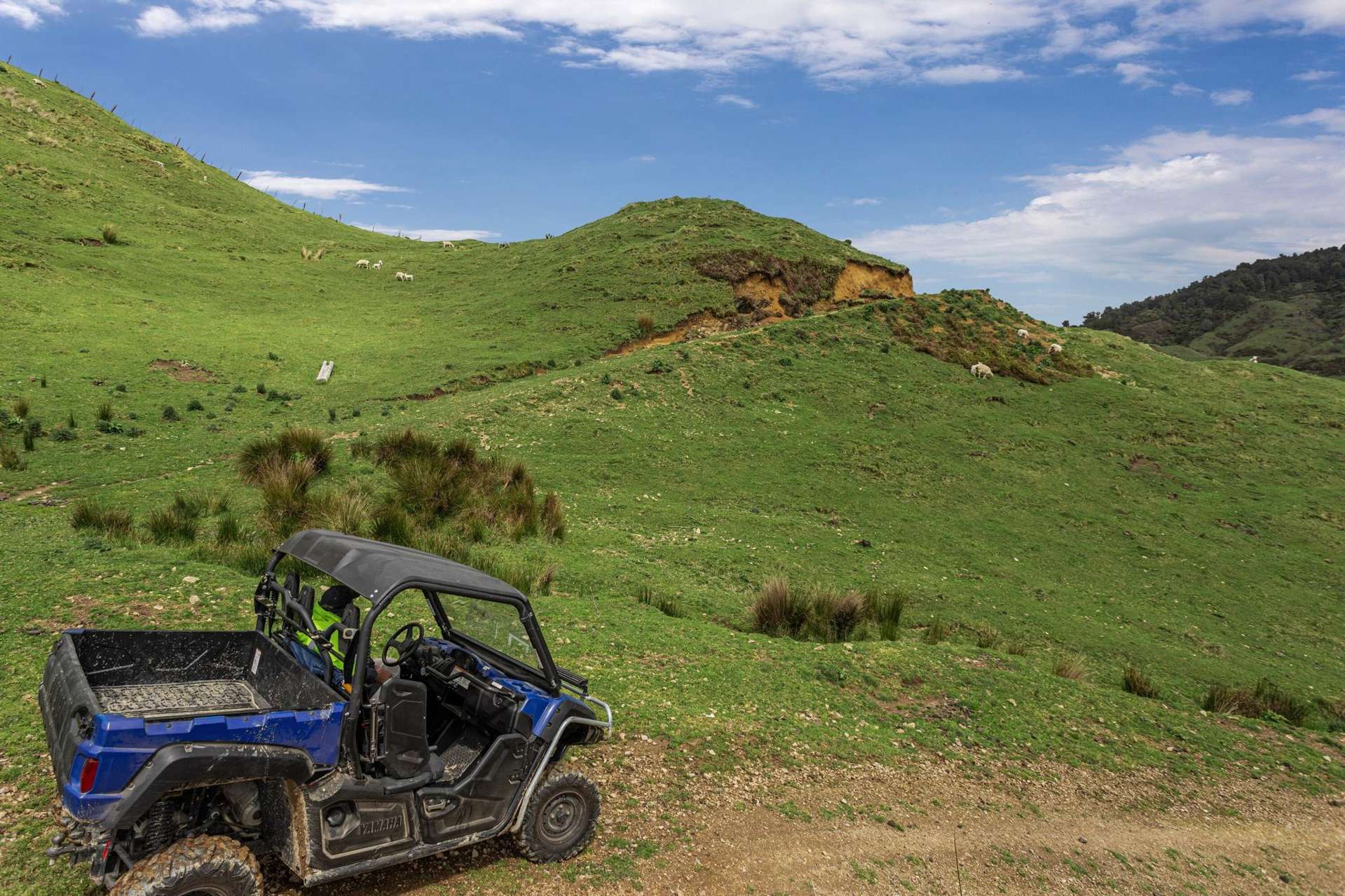 284 Mccarthy Road Opotiki and Surrounds_0