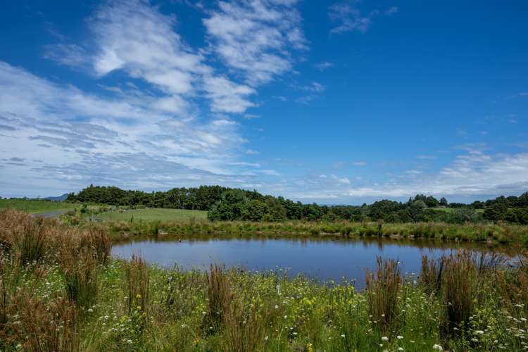 383 Owhiwa Road Parua Bay_22