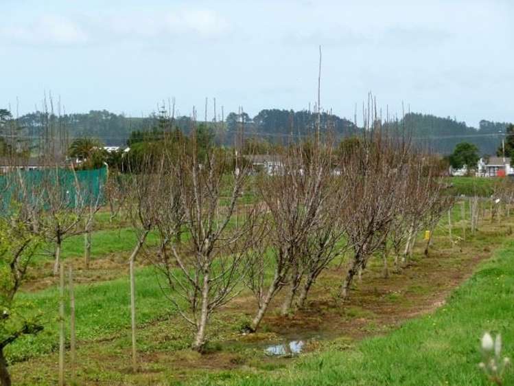 165a State Highway 1 Awanui_15