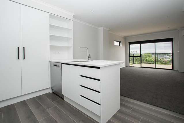 12/14 Ruakiwi Road 500063_4