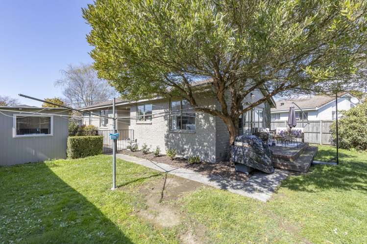 19 Jenkins Avenue Redwood_17