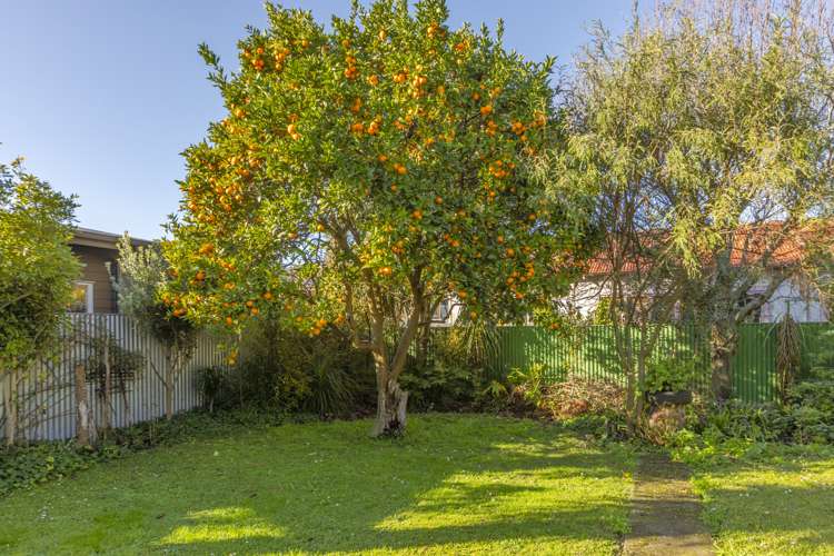 131 Nelson Crescent Napier South_16