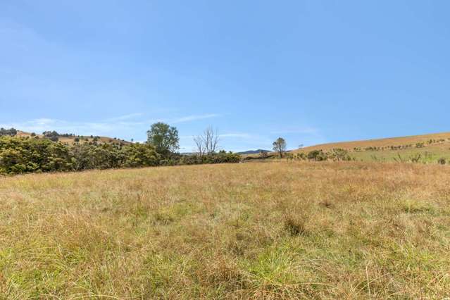 645 West Coast Road Makarau_3