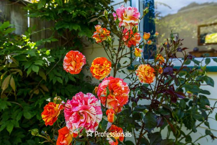 1 Gemstone Drive Birchville_13