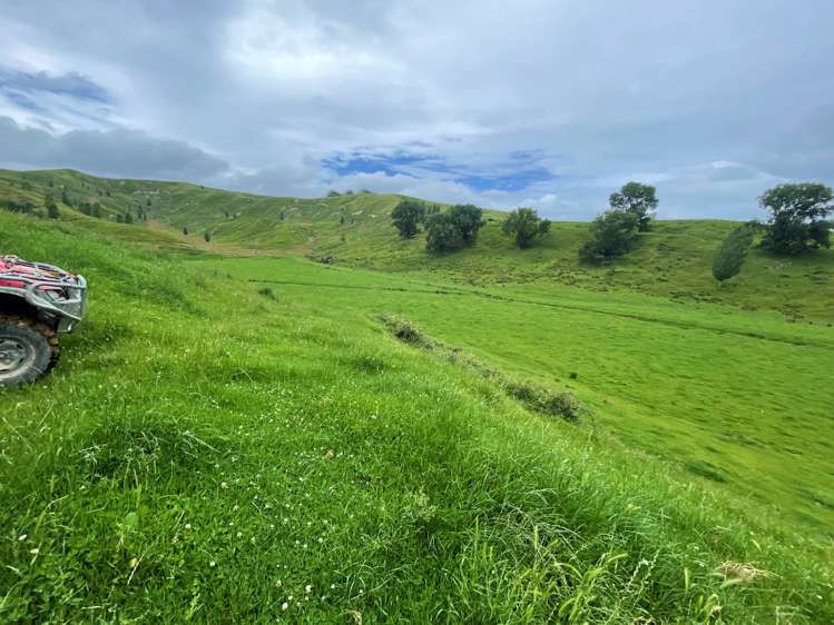 174 Clydebank Road Wairoa_9