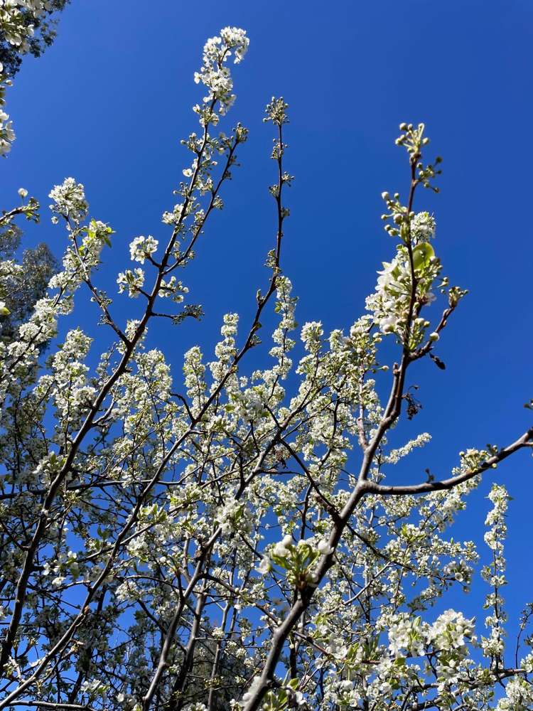 65 Butterfield Road Hawea Flat_20