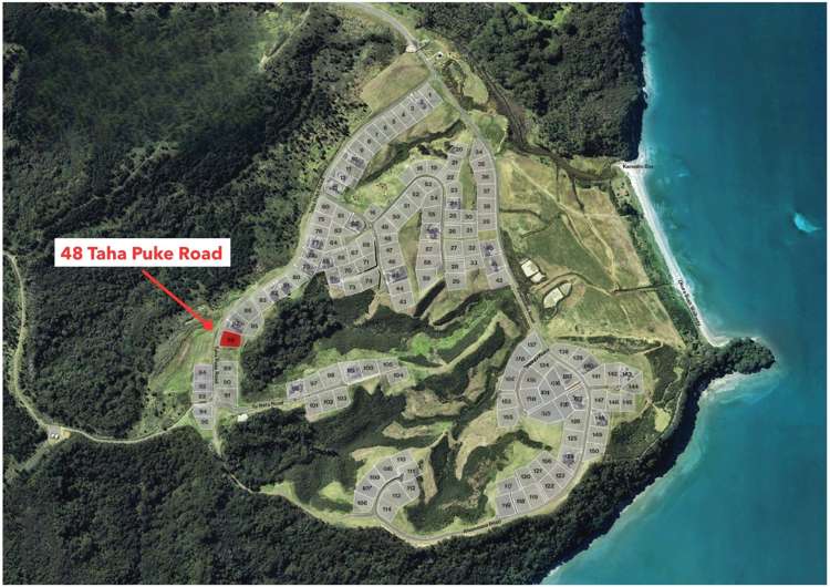 48 Taha Puke Road Okura Bush_3