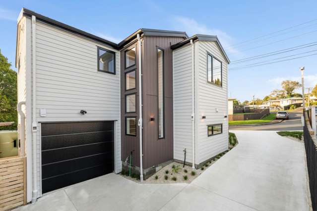 Lts 1,2&3/121 Vodanovich Road Te Atatu South_2