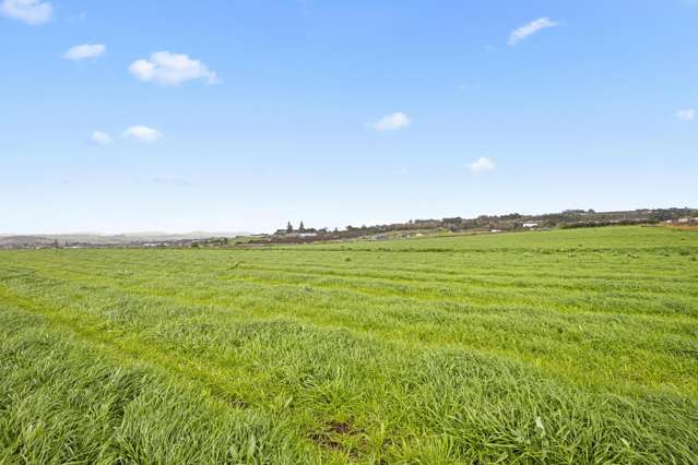 Lot 1 Foy Road Pukekohe_4
