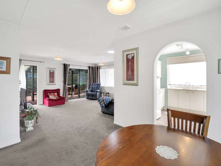 21a chester street Levin_8