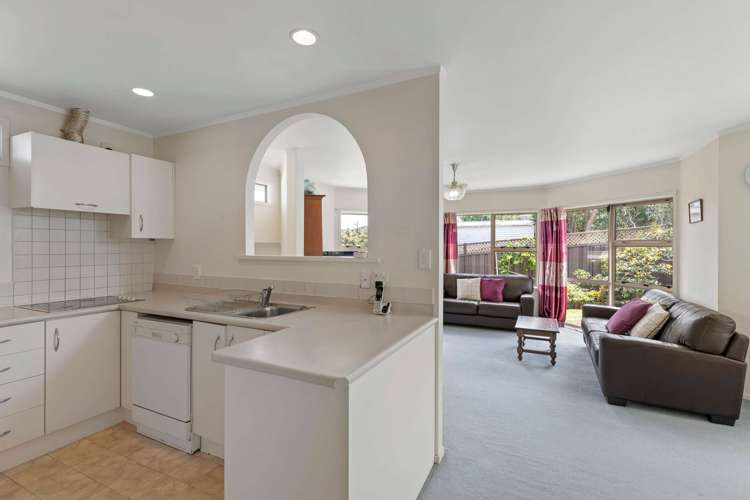 31 Richardson Road Mount Albert_6