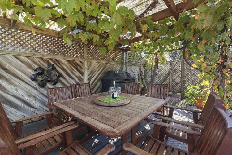 53 Seales Road Morrinsville_16