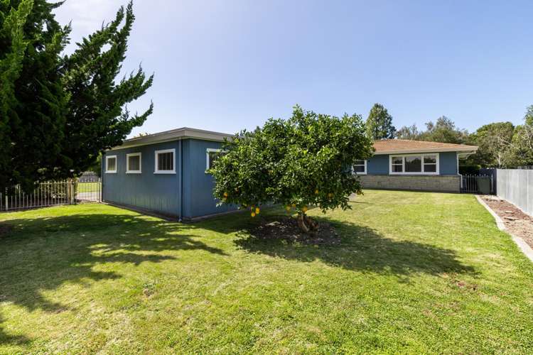 235 Kenilworth Road Mayfair_13