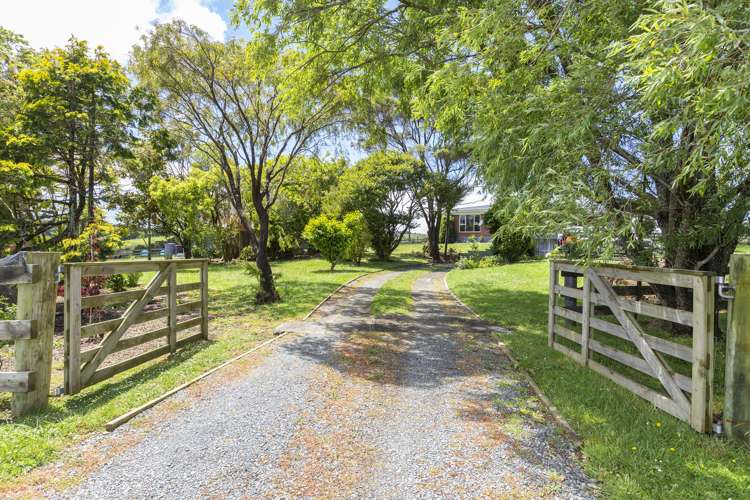 183 Tapu Bush Road Whangaripo_15