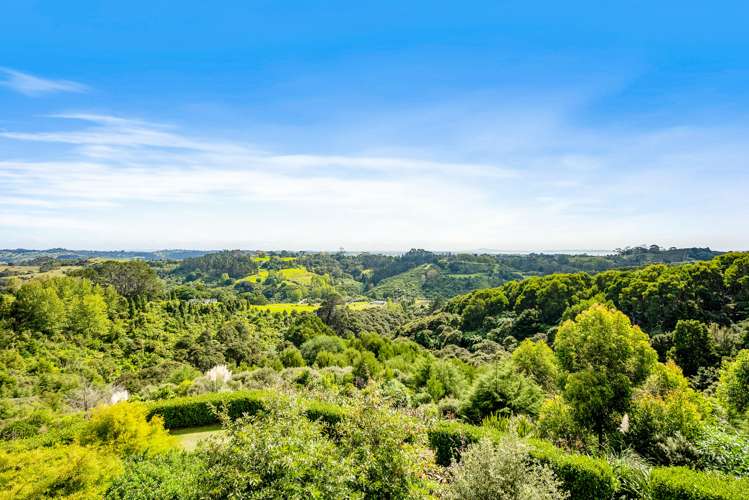 378e Ara-Kotinga Whitford_34