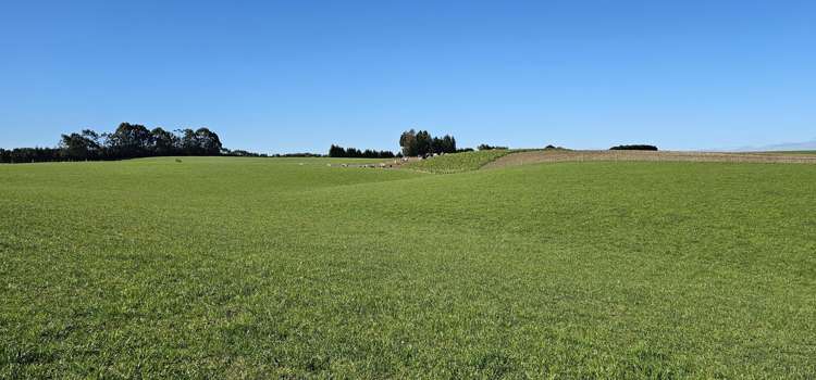 169 Charters Road Waikoikoi_22