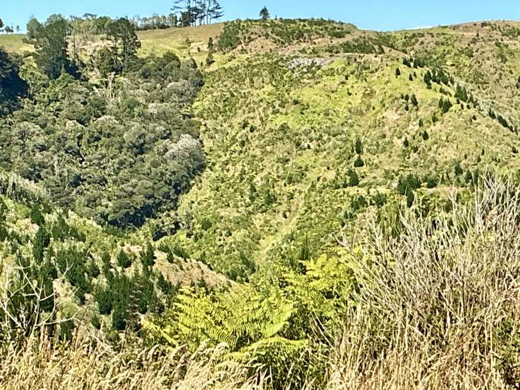 1391 Kaipara Hills Road Kaipara Flats_10