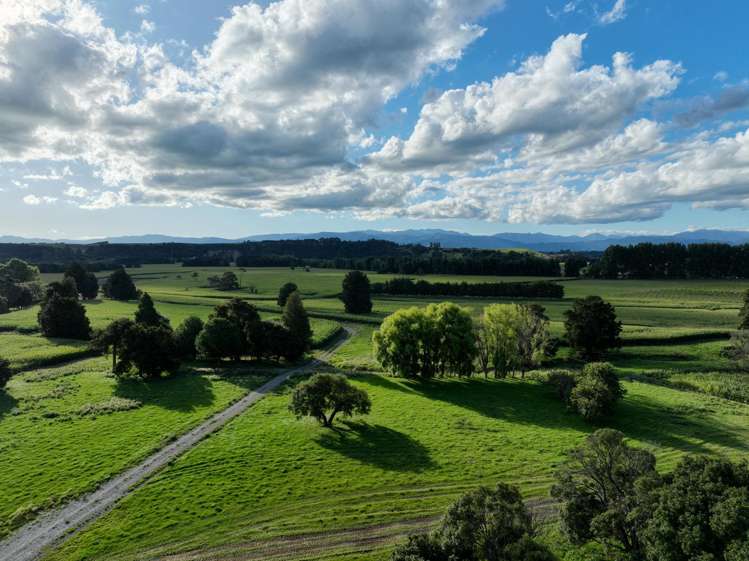 429 Riverside Road Martinborough_19