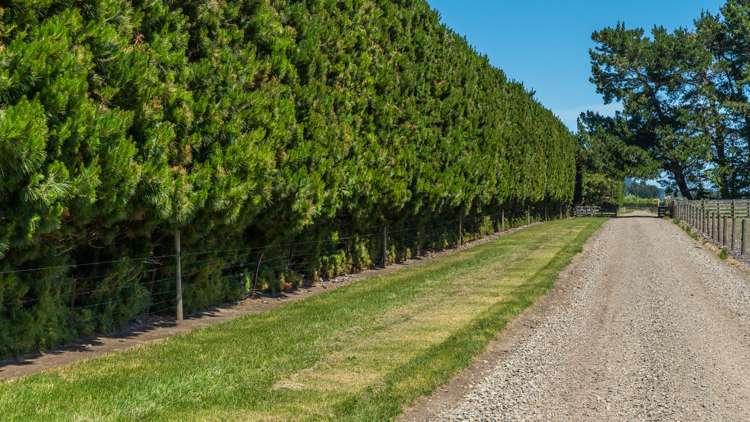 260 Hayland Road Okuku_8