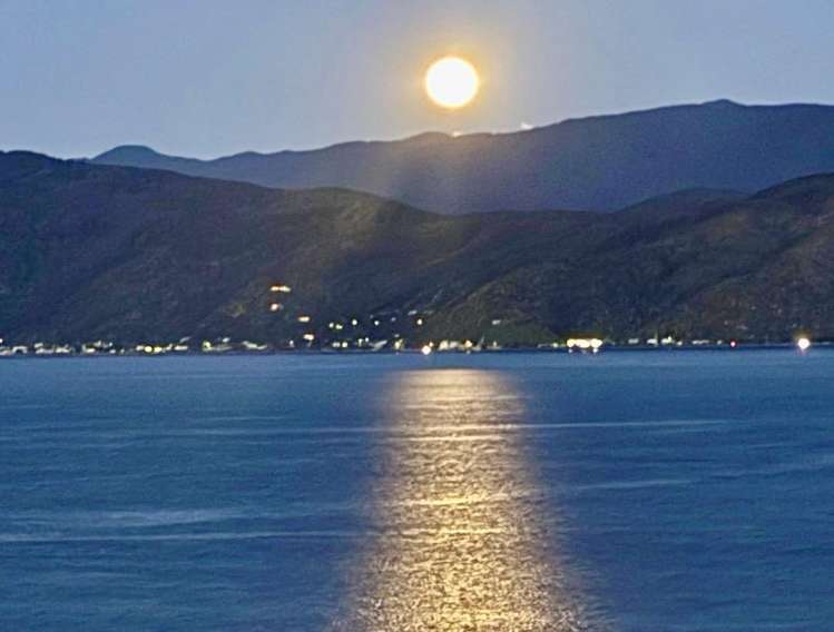 9 Sinclair Street Seatoun_7