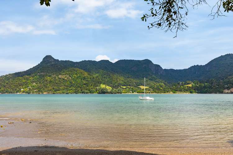 49 Foster Avenue Huia_18