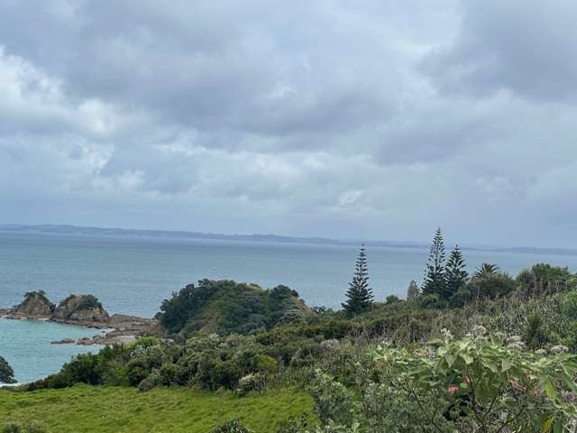 38 Ocean View Crescent Rakino Island_4