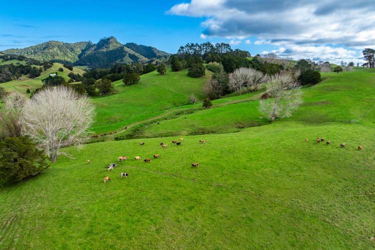 Lots 2 and 5 Leslie Road Maungakaramea_9