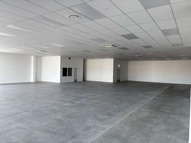 1004 Karamu Road North Mayfair_4