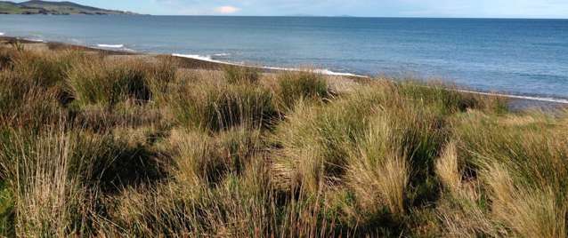 26 Oyster Lane Colac Bay_2