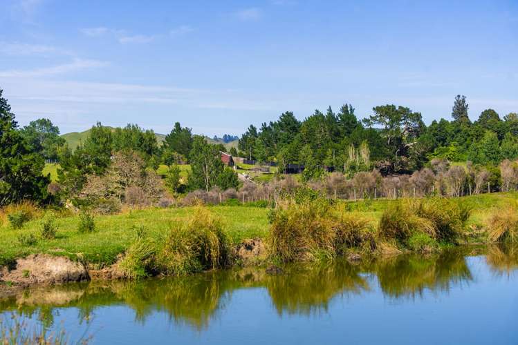 1169 Ruakaka Road Tiniroto_21