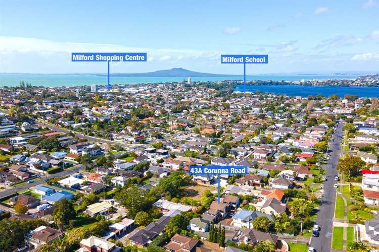 1/43a Corunna Road Milford_13