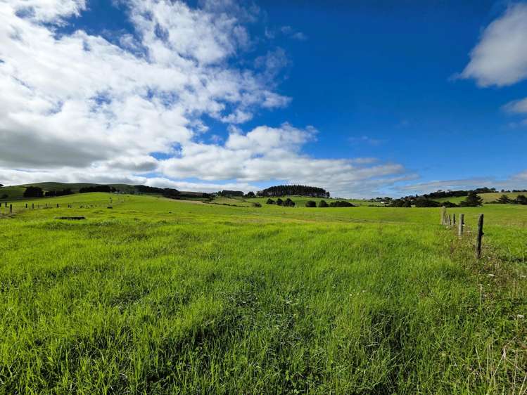 6320 State Highway 12 Dargaville_8