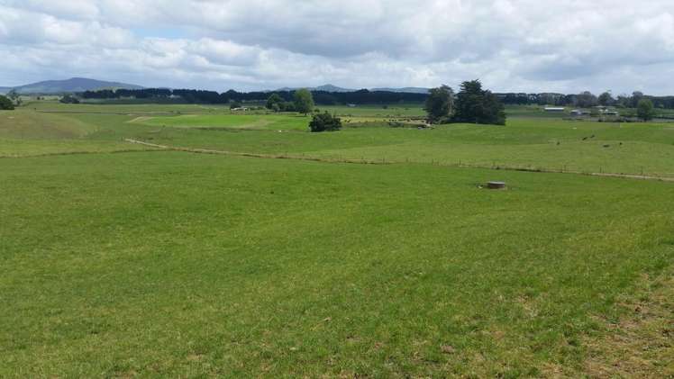 851 Hutchinson Road Morrinsville_16