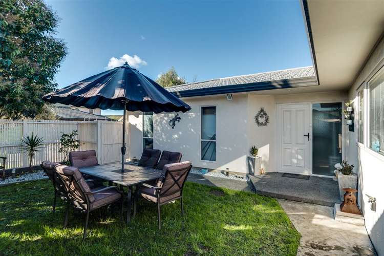 172h Guppy Road Taradale_16