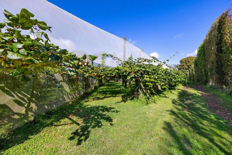 1151 Oreipunga Road Maungatautari_20