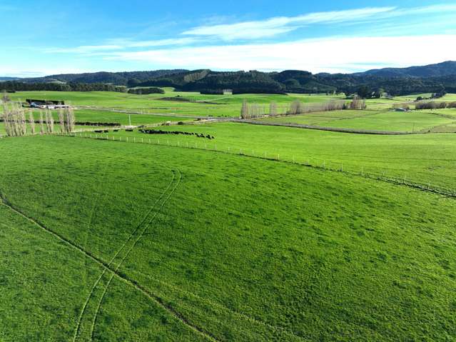 1475 Glencoe Highway Te Tipua_1