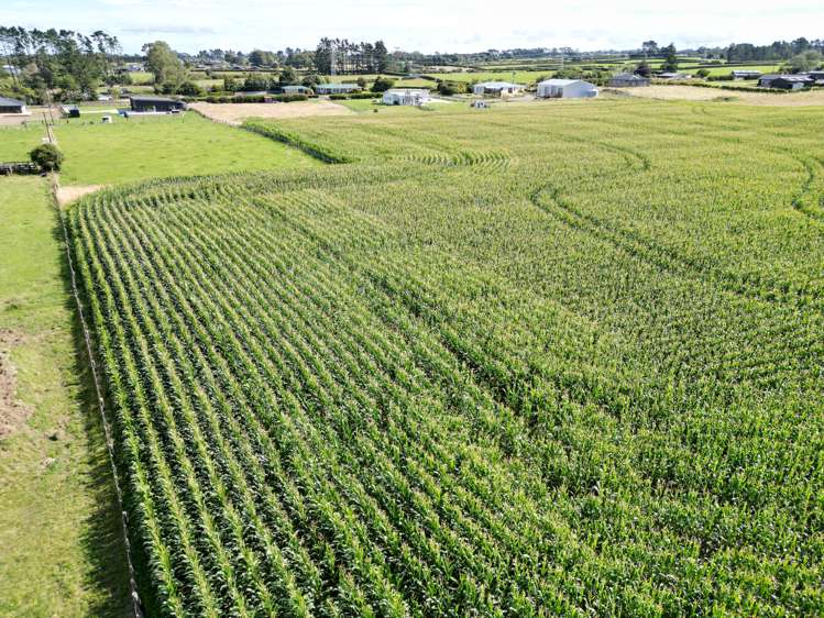 Monmouth Road Stratford_6