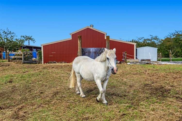 4 Pukeko Lane Rotoma_22