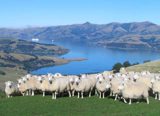 Coastal Beauty & Farming Versatility