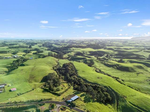 311 Dover Road Okato_4